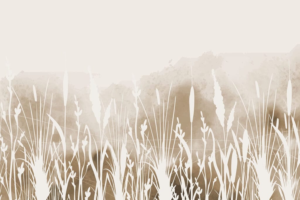 White silhouette of grass White silhouette of grass
