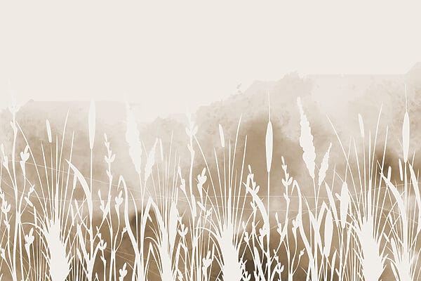 White silhouette of grass White silhouette of grass