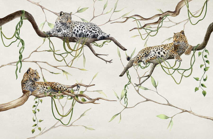 Wall murals Group of leopards lying on branches - Image 6