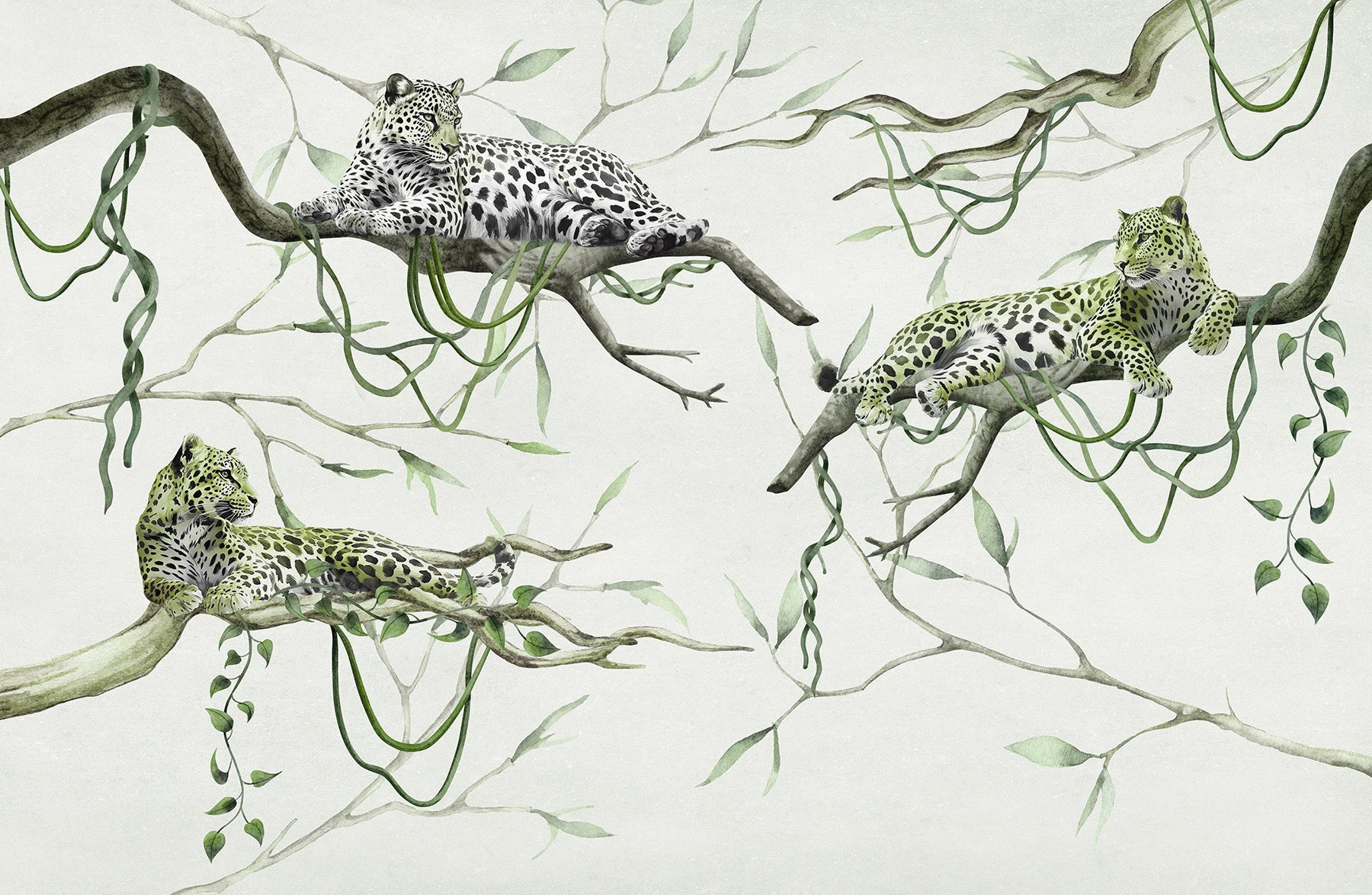 Group of leopards lying on branches