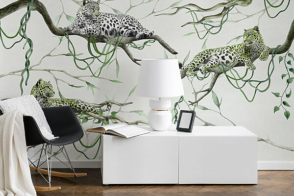 Group of leopards lying on branches Group of leopards lying on branches
