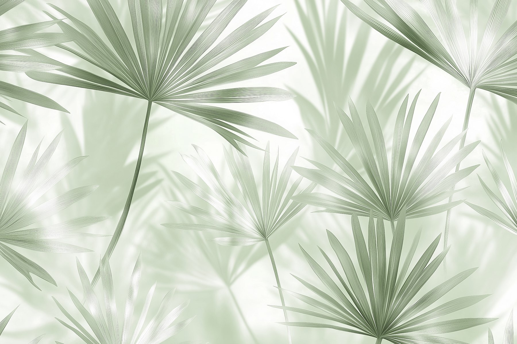 Soft green leaves dance in light