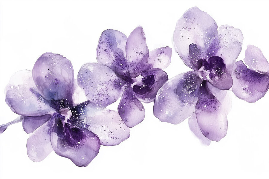 Group of purple flowers
