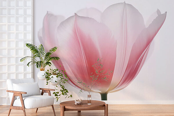 Wall murals Delicate petals of soft hues (SKU: w03224) Wall murals Wall murals Delicate petals of soft hues (SKU: w03224)