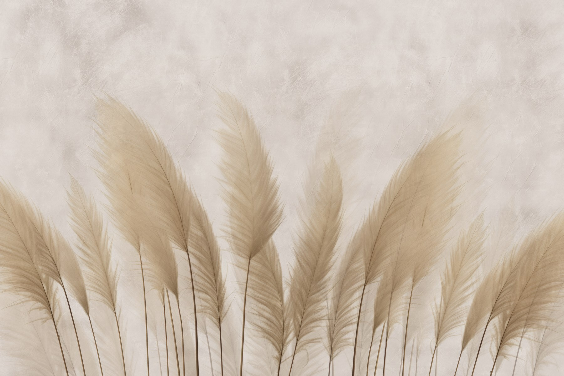 Group of white feathers