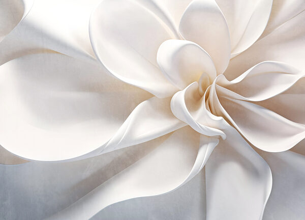 White fabric flower White fabric flower