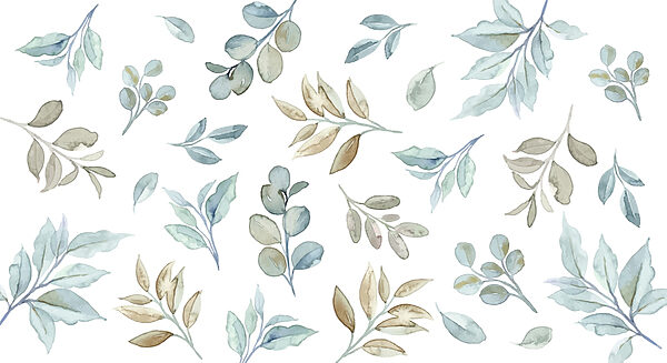 Pattern of leaves and branches Pattern of leaves and branches