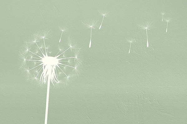 Dandelion seeds flying in the air