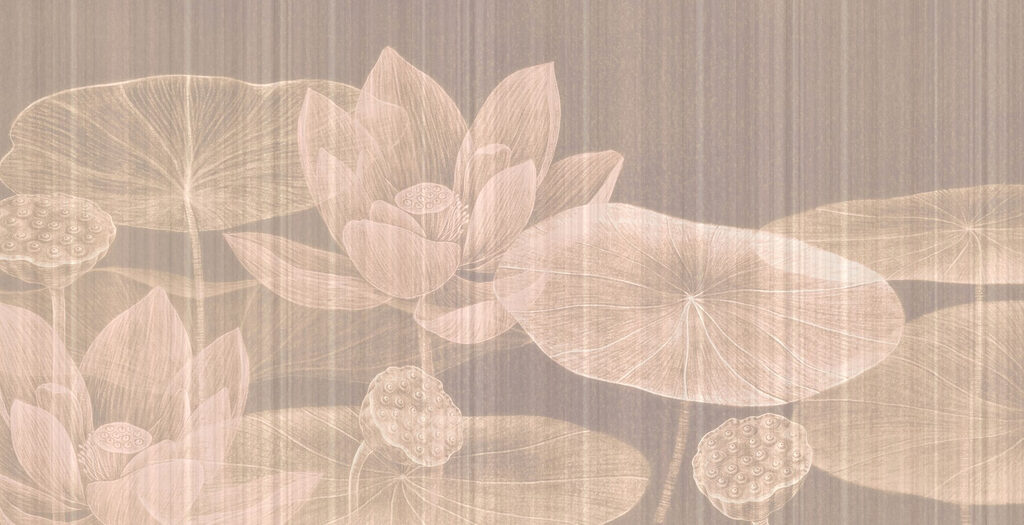 Delicate blooms on tranquil waters Delicate blooms on tranquil waters