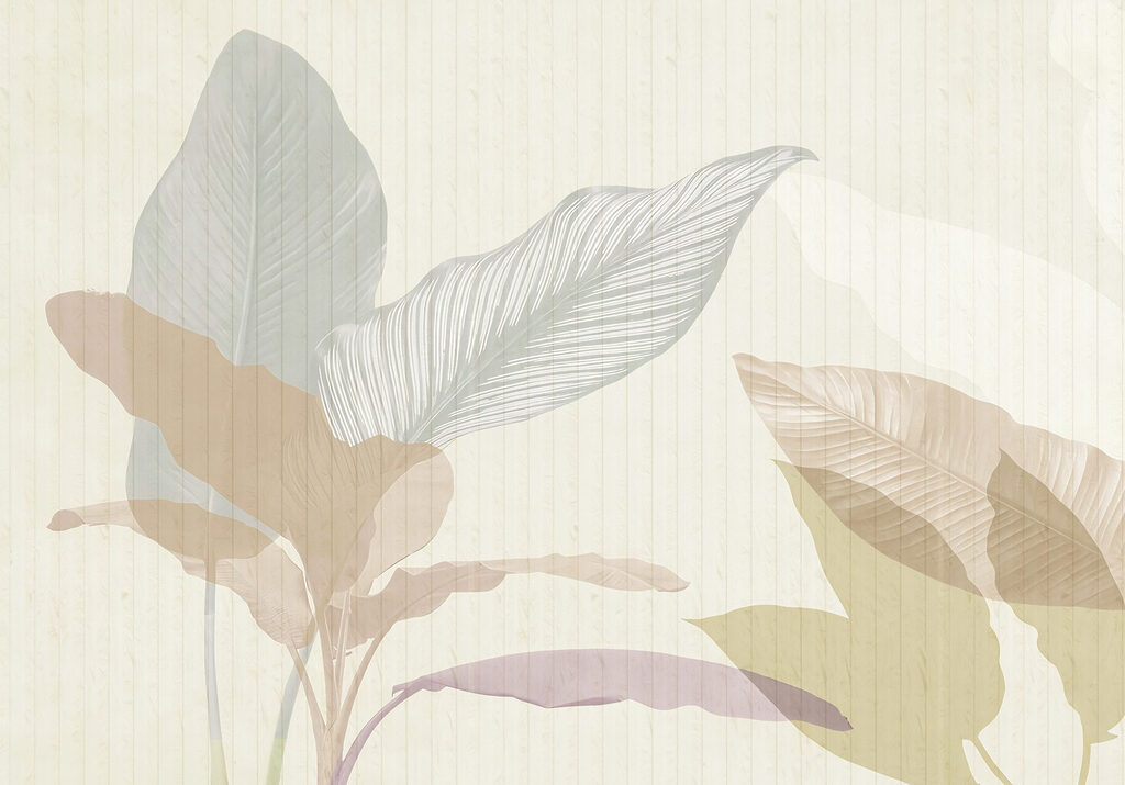 Soft hues of nature’s beauty. Soft hues of nature’s beauty.