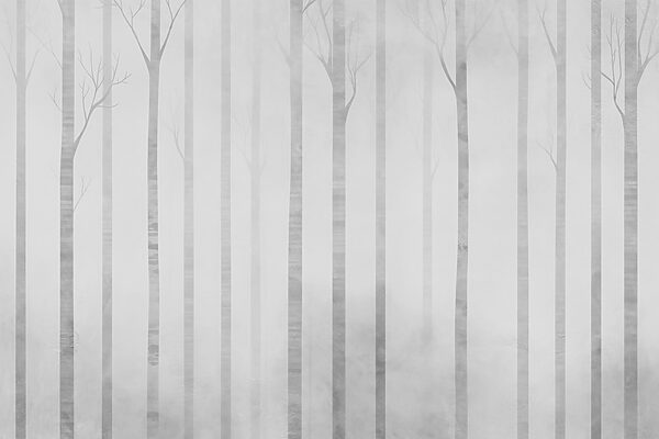 Group of trees in fog Group of trees in fog