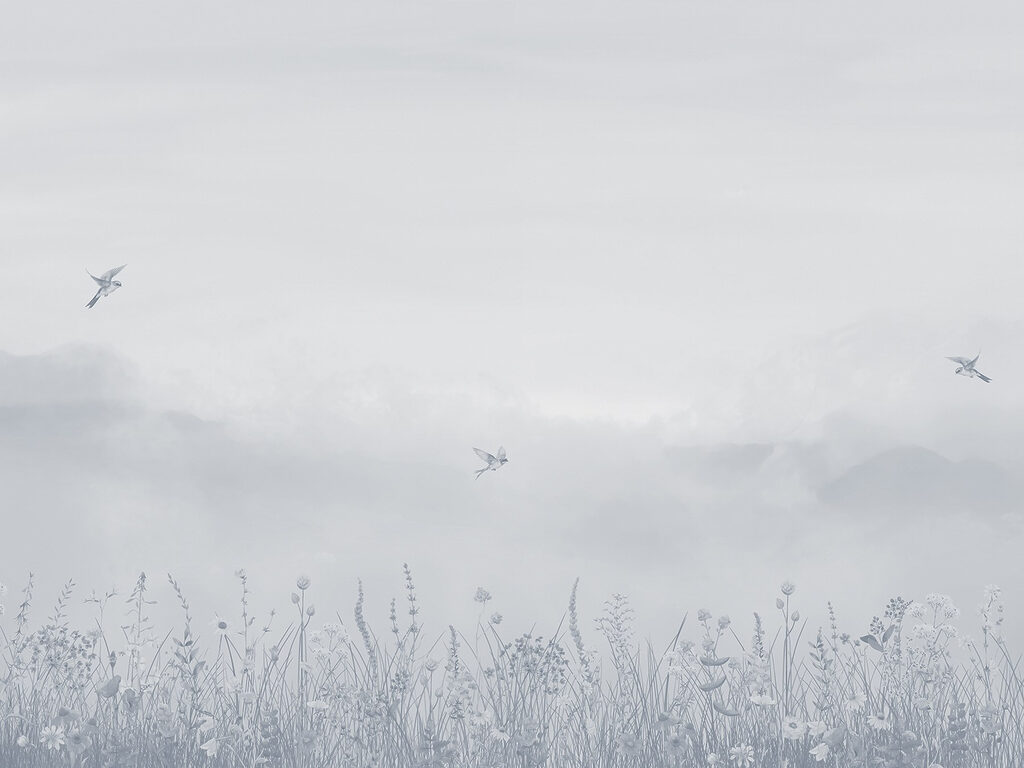 Bird flying over a field of flowers Bird flying over a field of flowers