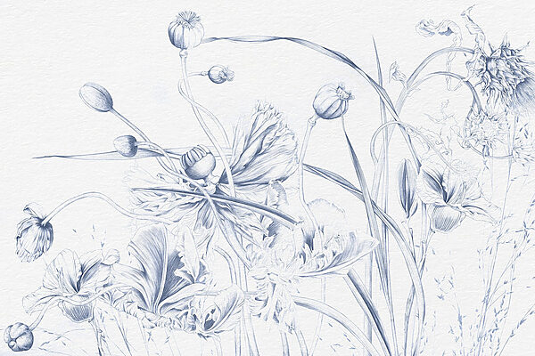 Drawing of flowers and leaves Drawing of flowers and leaves