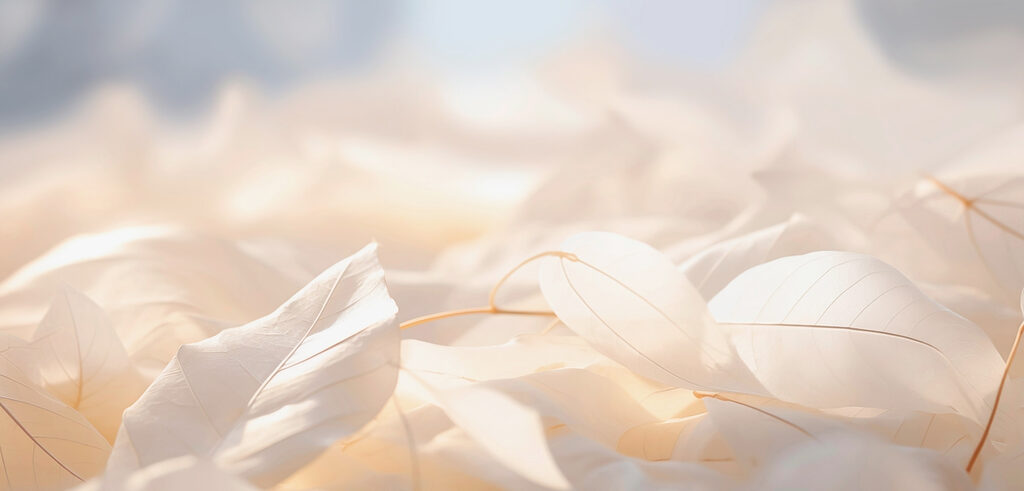Whispers of nature in soft hues Whispers of nature in soft hues