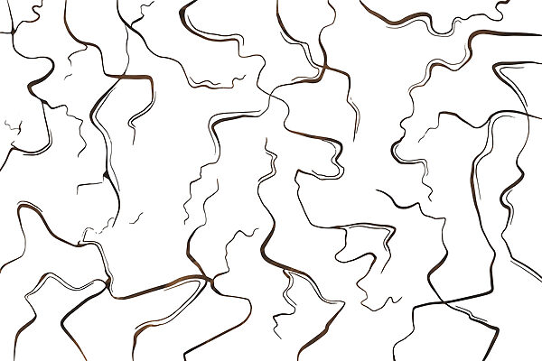 Curves and lines in contrast