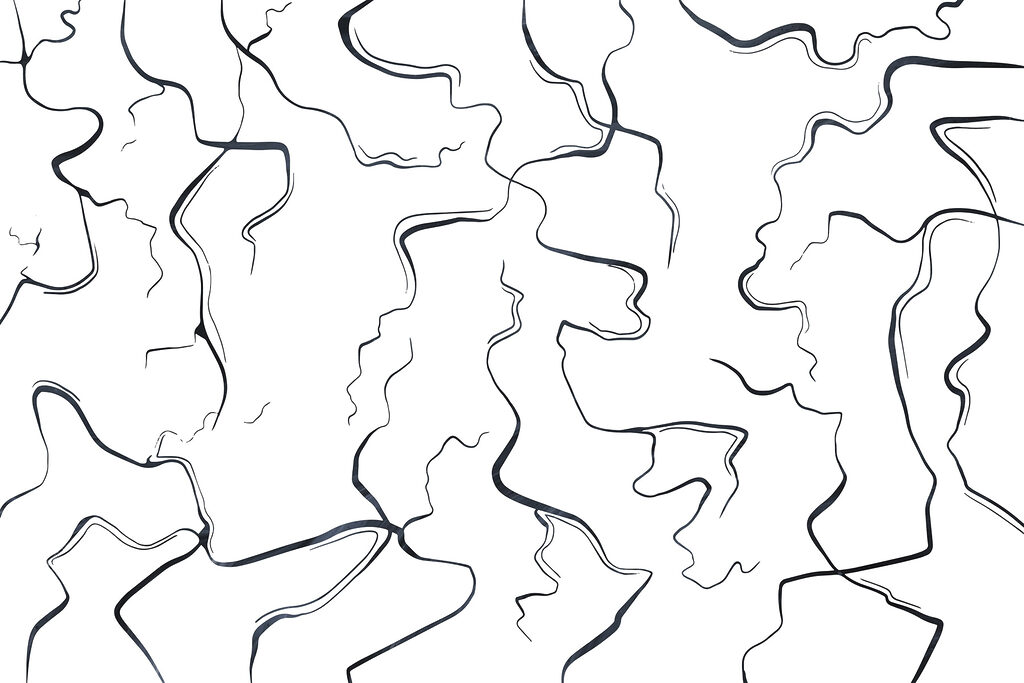 Black and white image of lines w03436v2p 1024x683 - Black and white image of lines