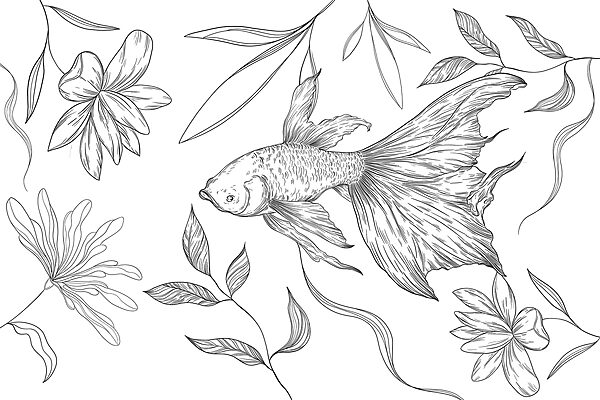 Black and white drawing of a fish and plants Black and white drawing of a fish and plants