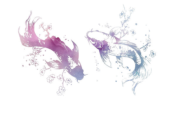 Two fish with watercolor splashes Two fish with watercolor splashes