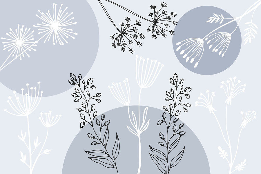 Wall murals Drawing of flowers and plants - Image 3