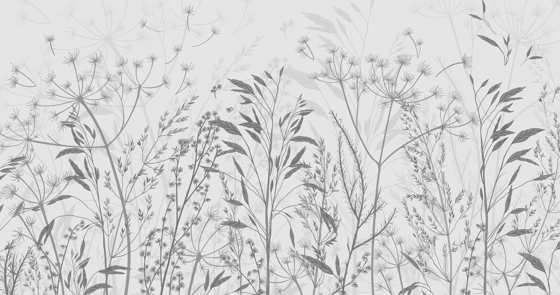 Delicate silhouettes of nature's beauty