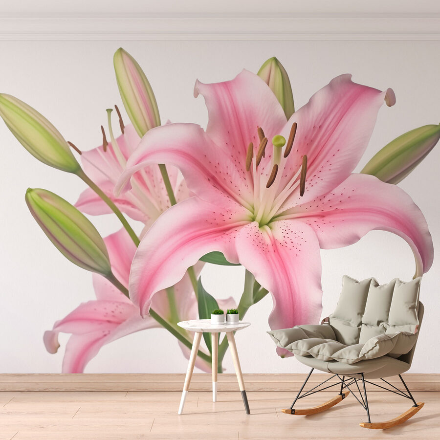 Pink lily with buds
