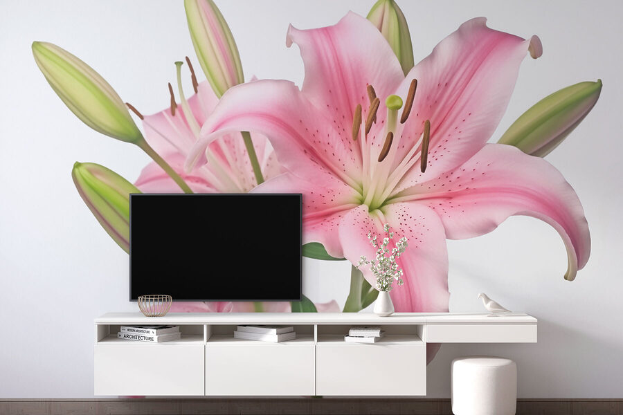 Pink lily with buds