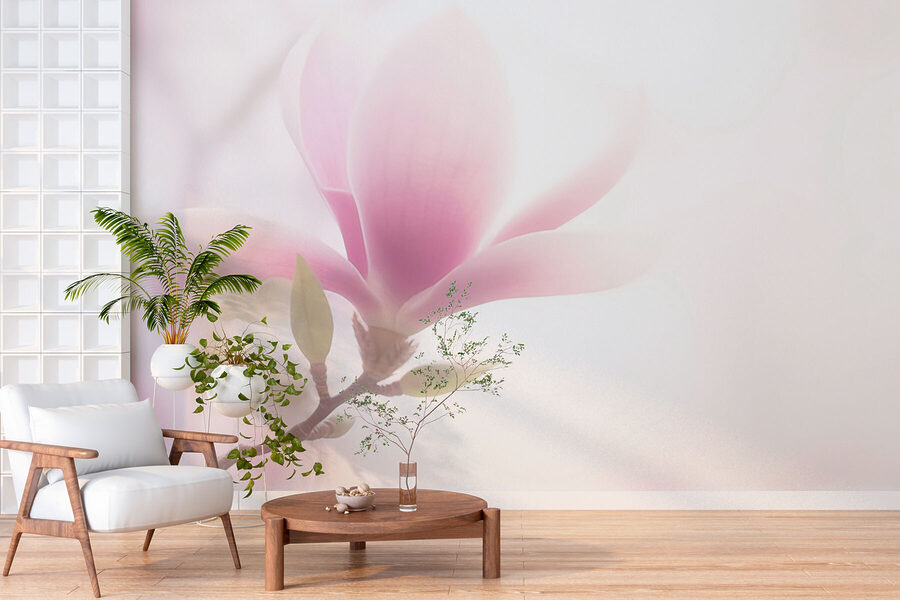 Delicate bloom in soft focus