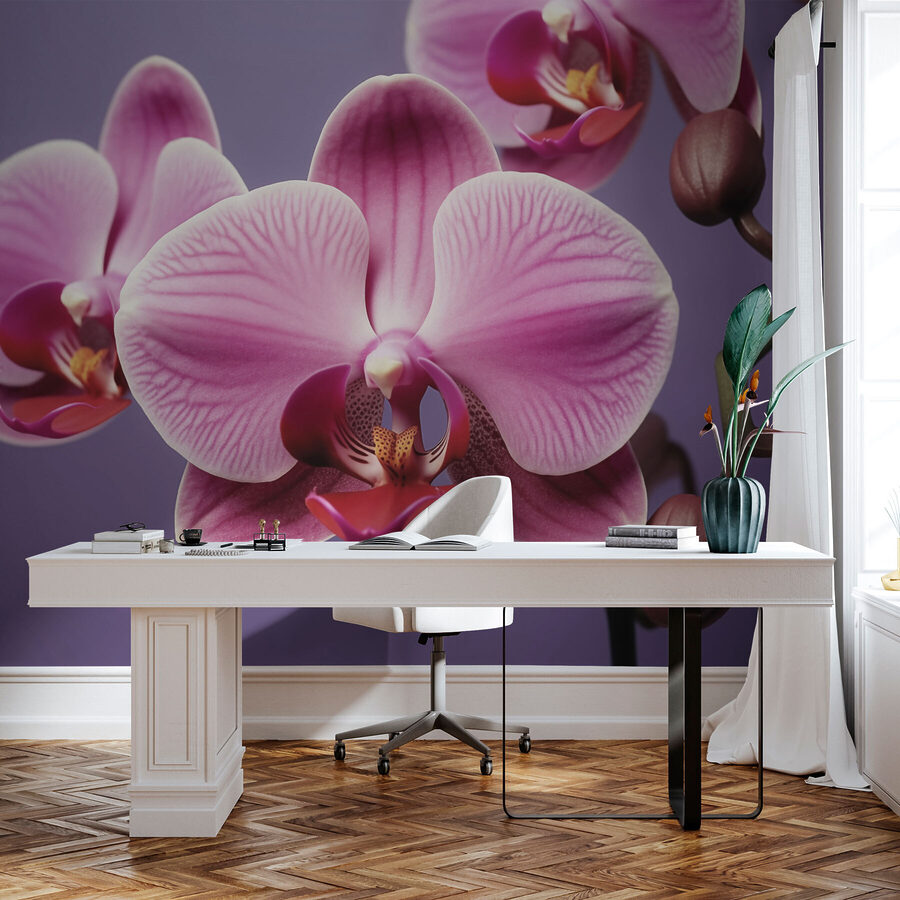 Delicate orchids in soft hues