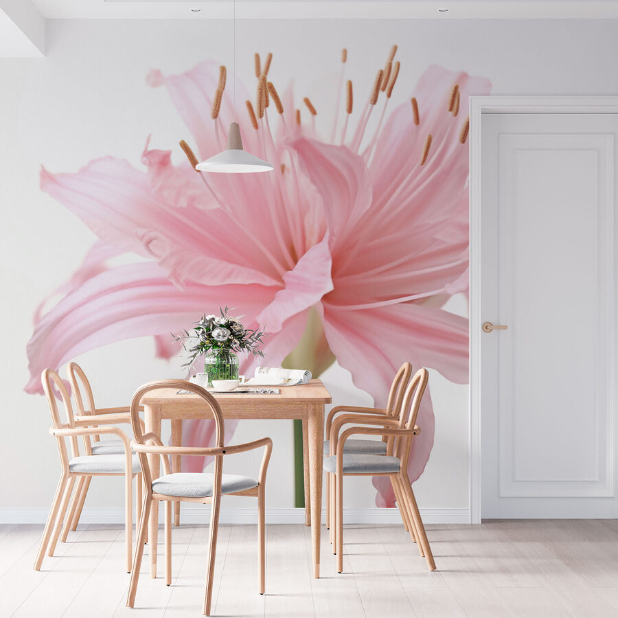 Delicate petals unfold gracefully.