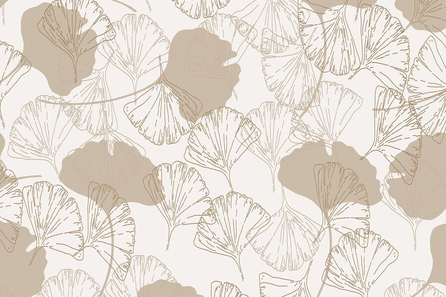 Pattern of leaves on a white background Pattern of leaves on a white background