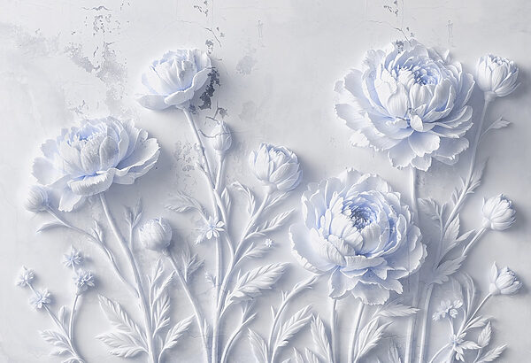 White flowers on a white surface
