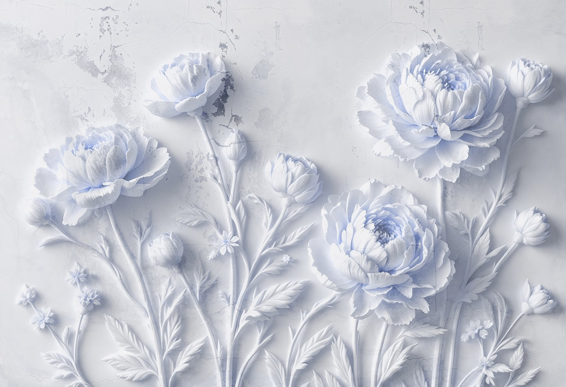 White flowers on a white surface