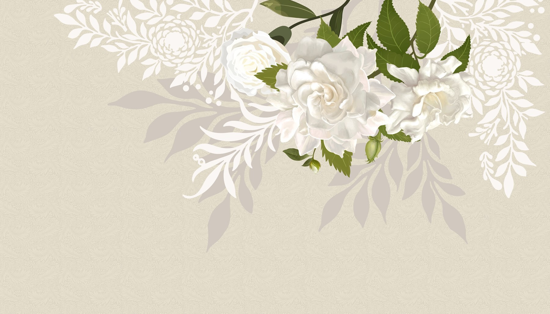 White flowers with green leaves White flowers with green leaves