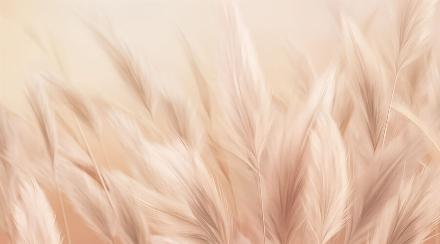 Wall murals Gentle waves of soft feathers - Image 4
