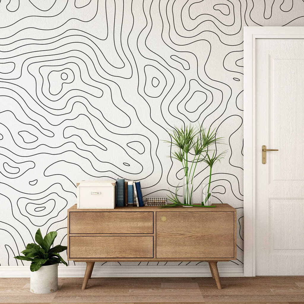 u70650pih1ms 1024x1024 - Black and white contour lines