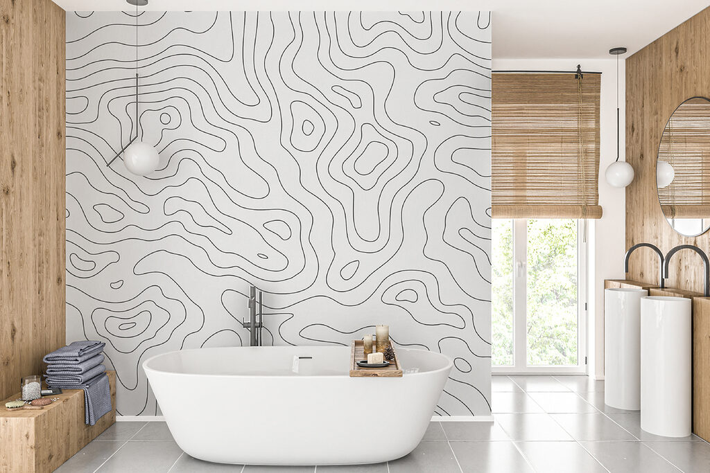 u70650pit1mr 1024x683 - Black and white contour lines