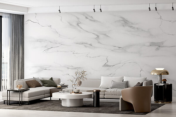 White marble with black veins White marble with black veins