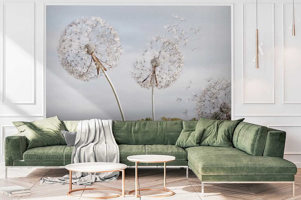 Group of dandelions with seeds