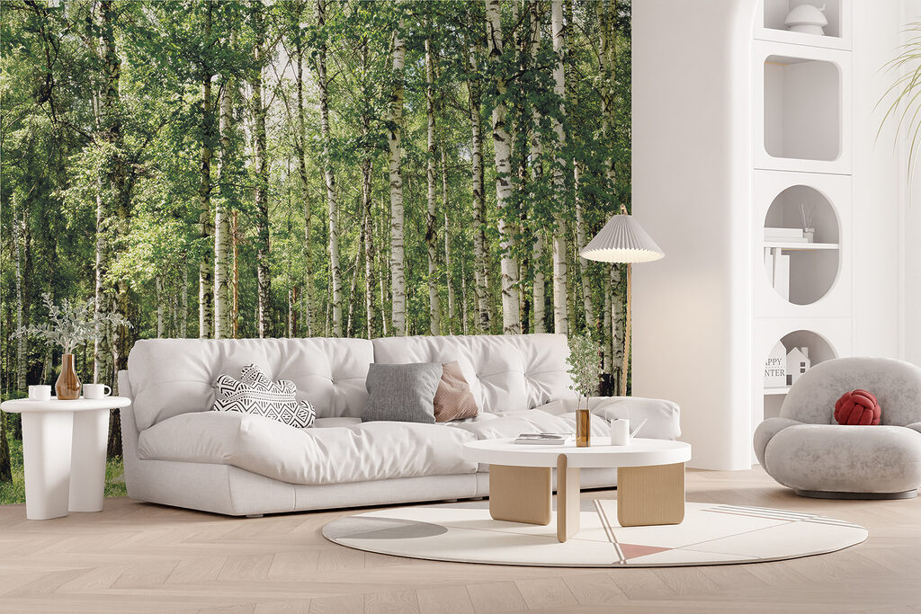 Group of trees in a forest