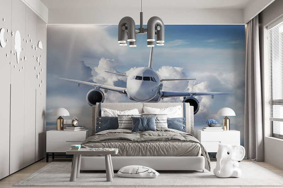Wall murals An airplane flying in the sky - Image 8