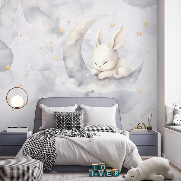 A rabbit on the moon A rabbit on the moon