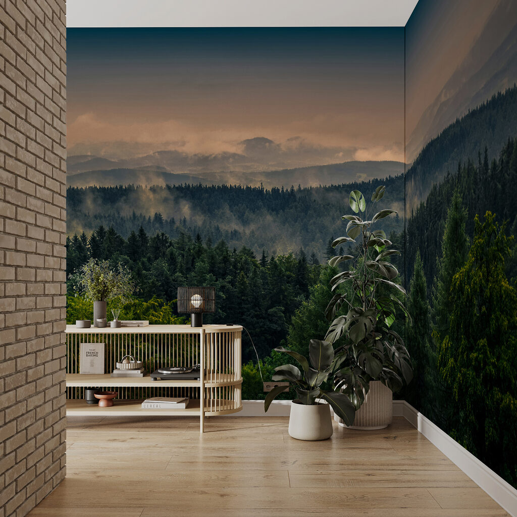 Forest with fog and clouds