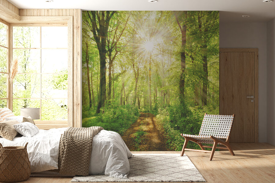 Path through a forest with trees and plants