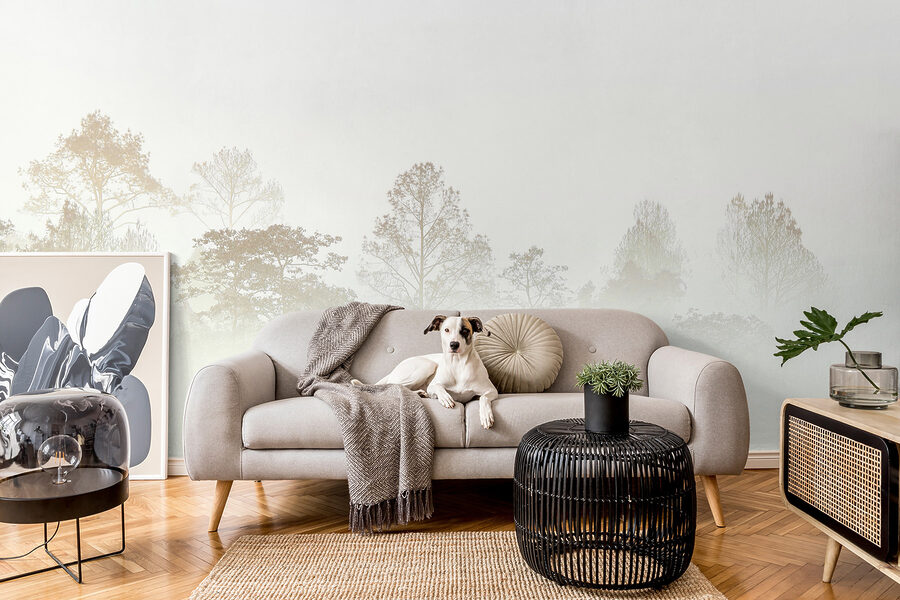 Wall murals Trees in the fog - Image 4
