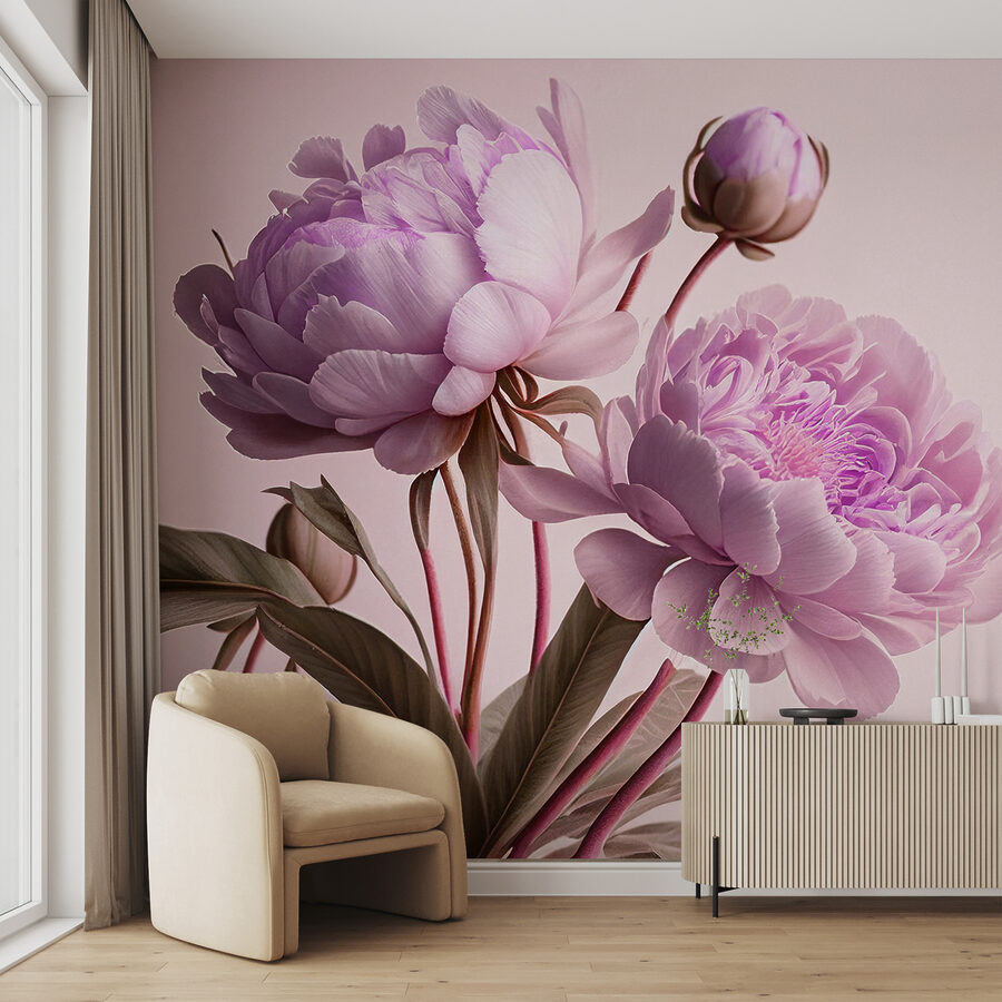 Elegant pink peonies in soft bloom.