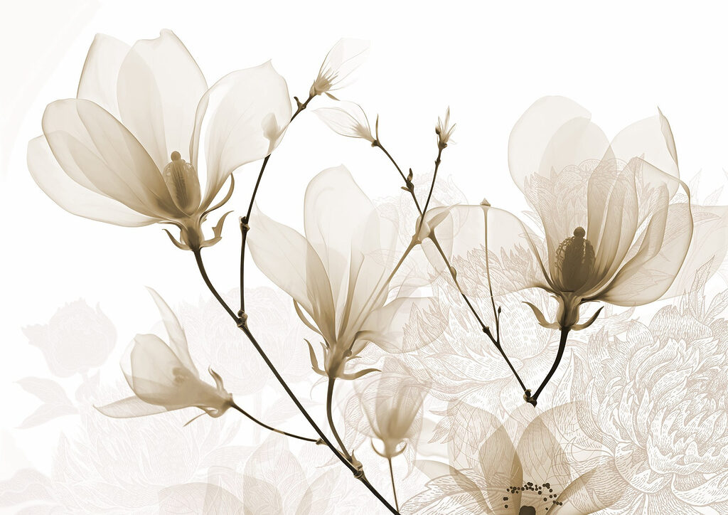 Delicate blooms in soft hues Delicate blooms in soft hues