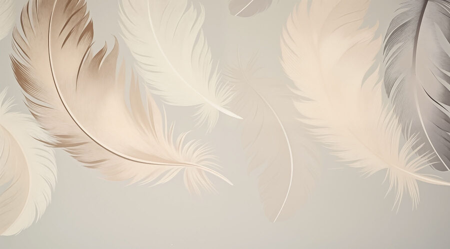 Group of feathers on a white background