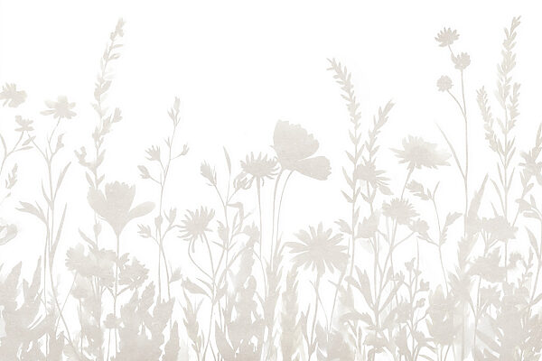 White background with flowers White background with flowers