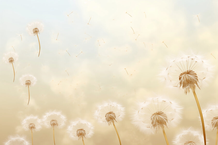 Dandelions blowing in the wind