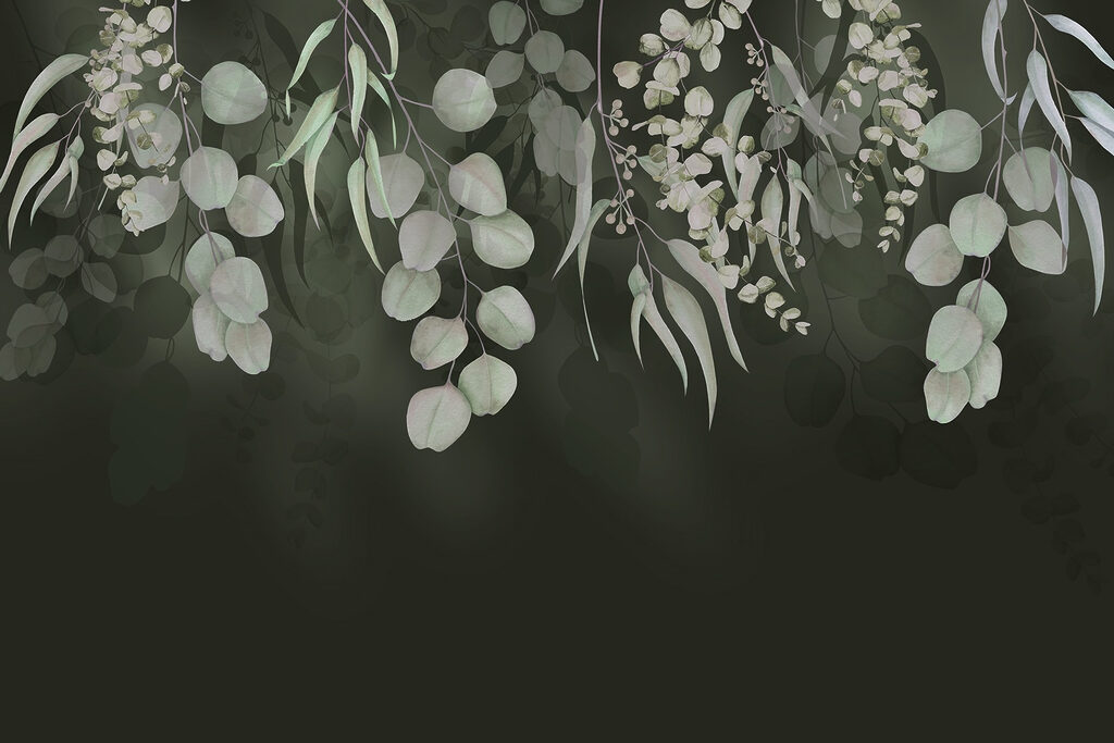 Delicate leaves on a dark backdrop Delicate leaves on a dark backdrop
